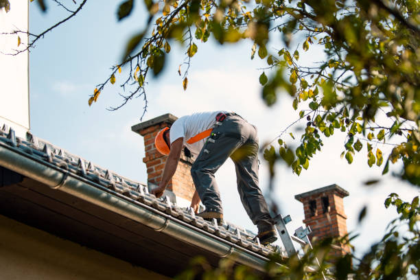 Best Roof Repair Services  in Braddock, VA