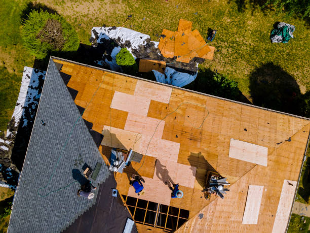 Best Emergency Roof Repair  in Braddock, VA