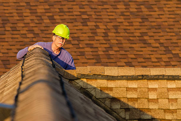 Best Roof Maintenance Services  in Braddock, VA