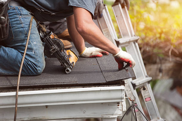 Best New Roof Installation  in Braddock, VA